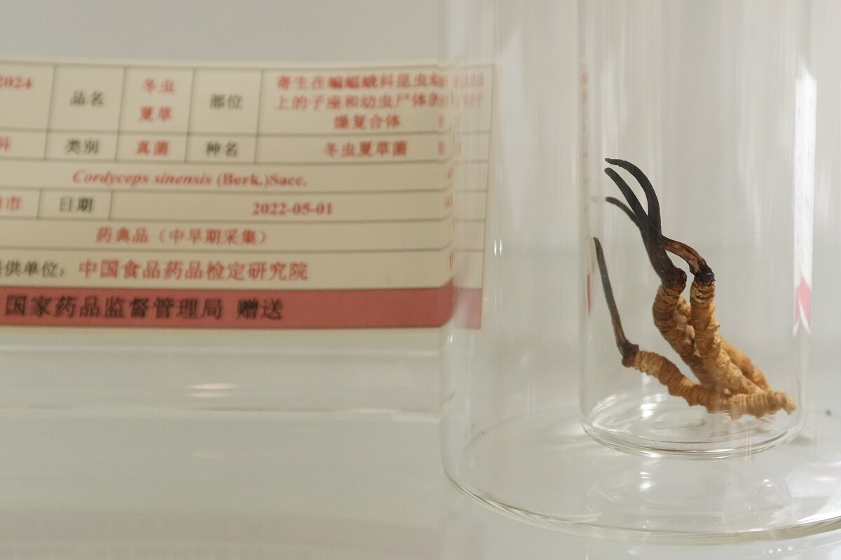 鼎力支持:  國家一直支持香港中藥檢測發展，衞生署5月獲國家藥品監督管理局送贈冬蟲夏草等21種中藥材標本，對加強中藥材鑑別有重要作用。