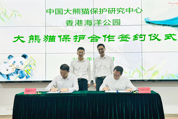 落實合作: 楊潤雄（後排右）出席有關落實中央政府贈送一對大熊貓予香港特區的合作協議書簽署儀式。