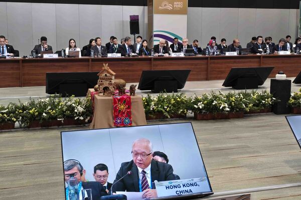 減碳策略: 謝展寰在亞太區經濟合作組織能源部長會議的討論環節上發言。