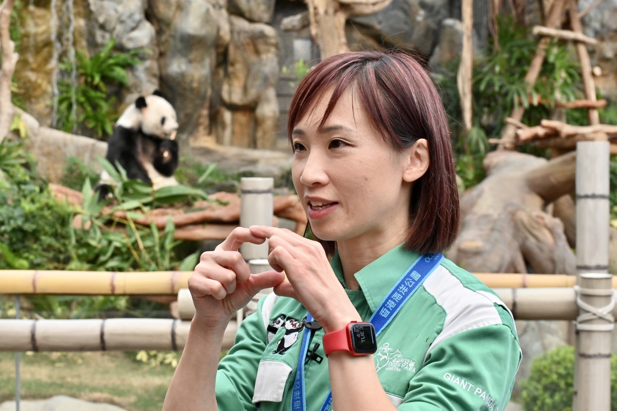 寶貴經驗:  胡綺琪說中國大熊貓保護研究中心派出四川專家留港協助侍產和育幼，對護理團隊有很大幫助，也令她護理大熊貓的經驗更圓滿。