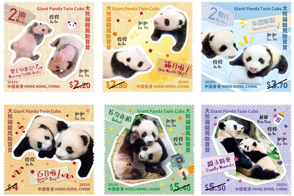 成長旅程:  以大熊貓龍鳳胎寶寶為題的特別郵票及相關郵品8月15日發售。