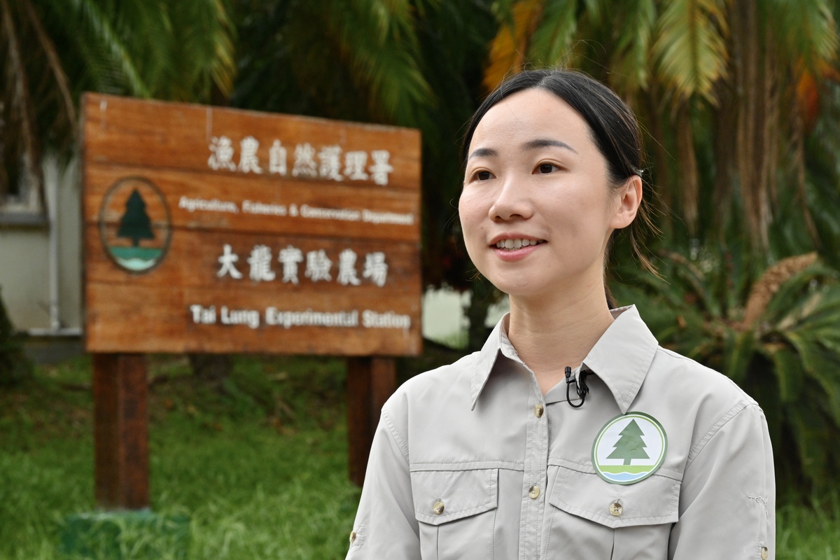 建立品牌:  潘嘉欣表示，署方計劃建立本地漁農產品新品牌，為各類漁農產品設立生產標準等，確保品質達標。