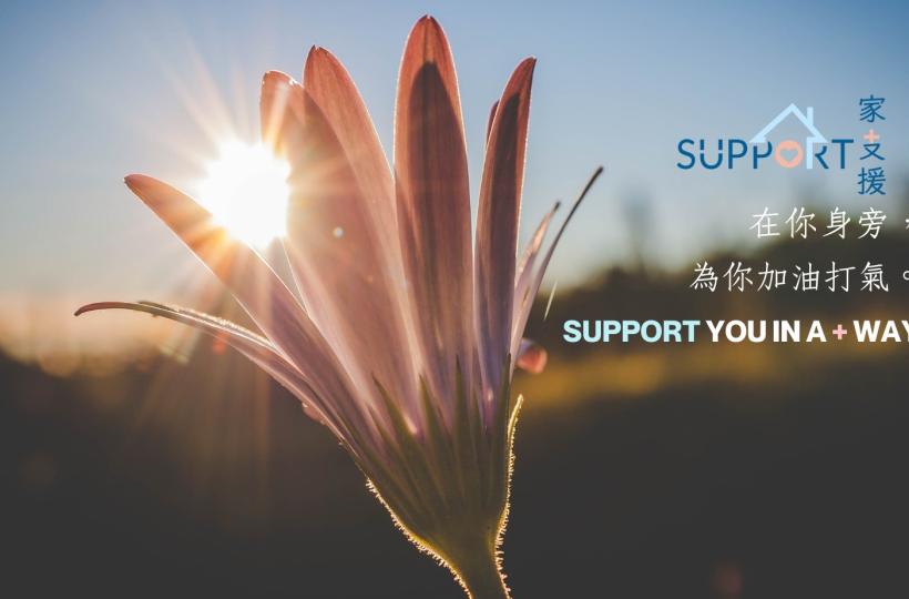 香港大學家支援