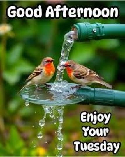 生命
             之源!...