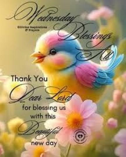 輕鬆
                愉快!...