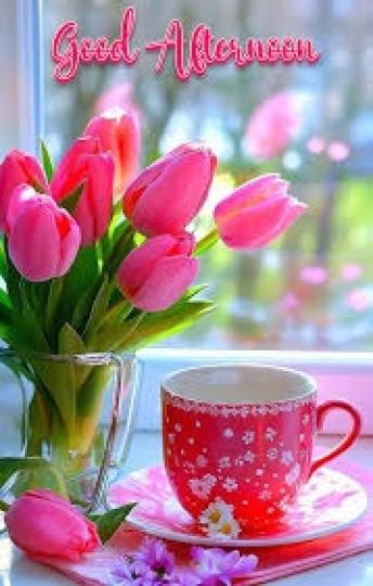 午安
               快樂!...