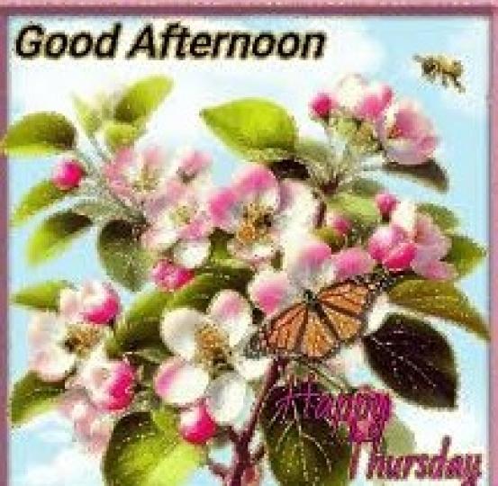 美好
              下午!...