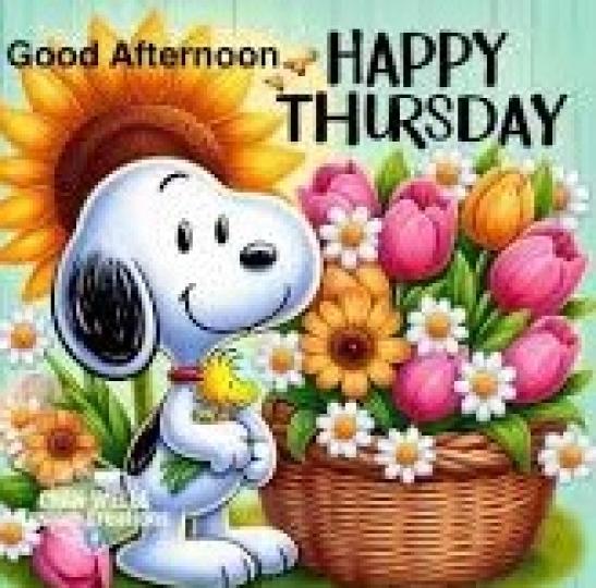 送上一束花 
                   開心一下吧!...