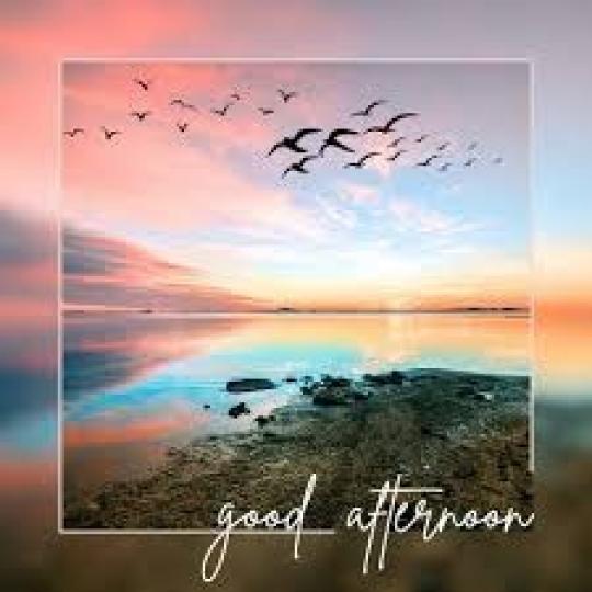 自由的
                    天空!...