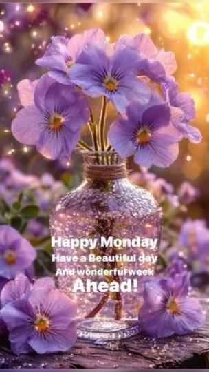 展開
          美好新周!...