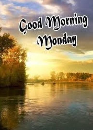 清晨的
            陽光!...