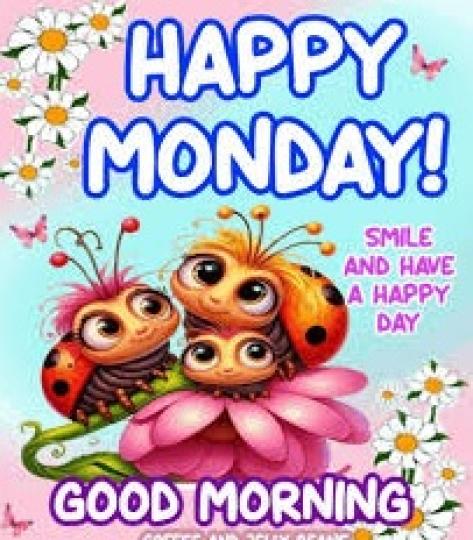 微笑
             迎接清早!...