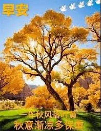 秋風
             落葉黃! 秋高氣爽!...