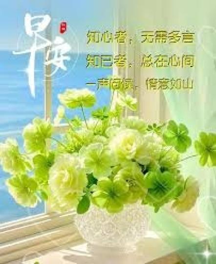 知心者,
               無需多言!...