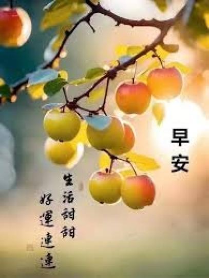 生活甜甜 
                    好運連連!...