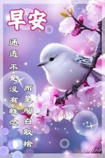 選擇
                     美好!...