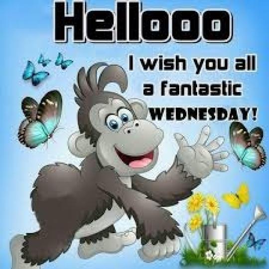 愉快
                        星期三!...