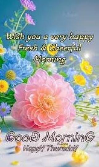 清新
                 星期四!...