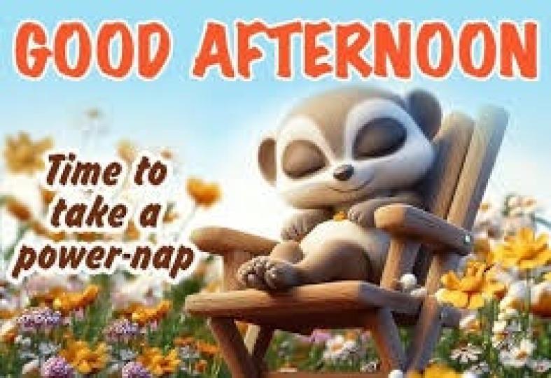 午休一下,
                  能量倍加!...