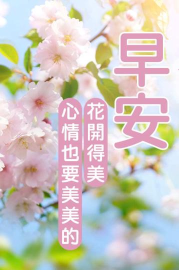 花開
                              心情美!...