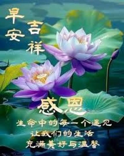 美好
                温馨!...