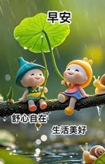 舒心
                 自在!...