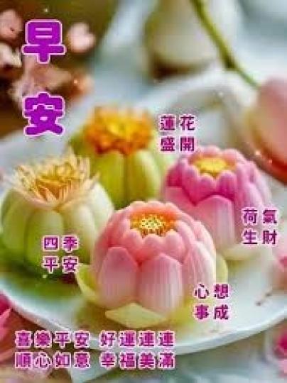 好運
                      連連!...