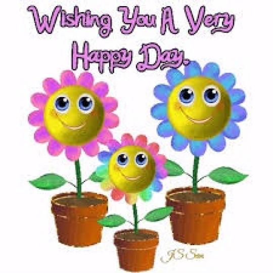 祝福
                     安康!...