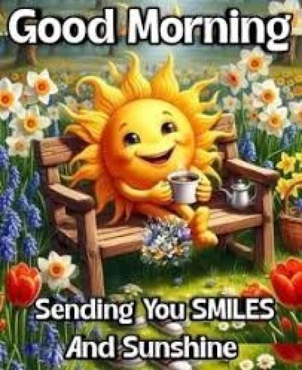 陽光般
             的笑容!...