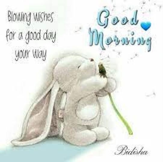 吹送
                幸運的種子!...