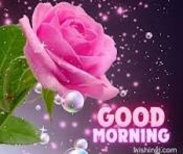 朋友
                 早安!...