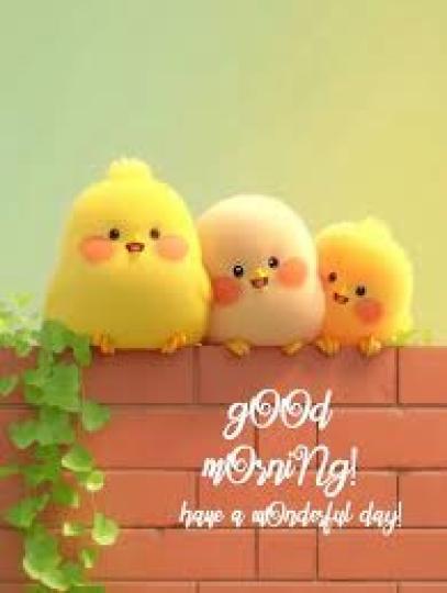 排排站
             笑盈盈!...