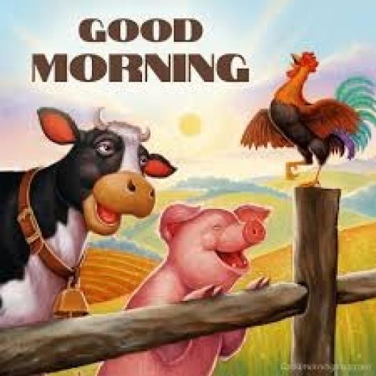 農場
              動物
             相聚歡!...