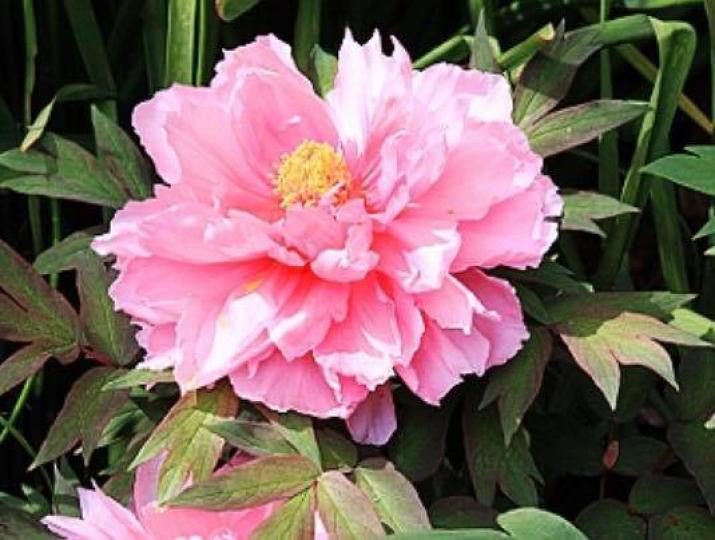 花花世界、百看不厭、各位晚上好！...