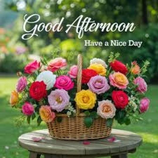 幸福
                安康!...