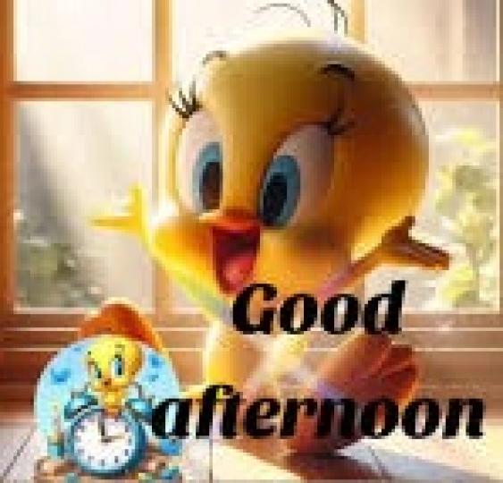 可愛
                 小鷄!...