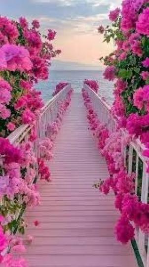 無盡
           幸運
           之旅!...