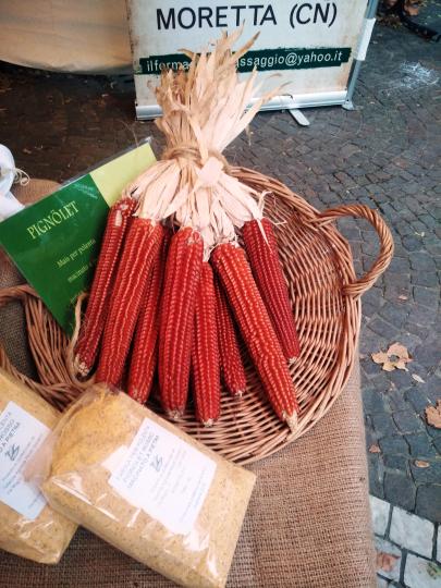 紅色的粟米真是特別、不知味道如何？在外國攝到的。...