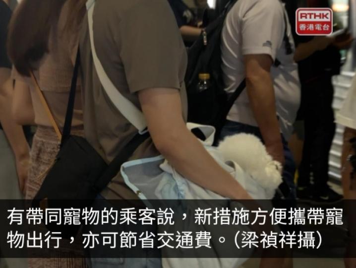 輕鐵「貓狗同行」首日試行　港鐵指有需要時或延長試行計劃...