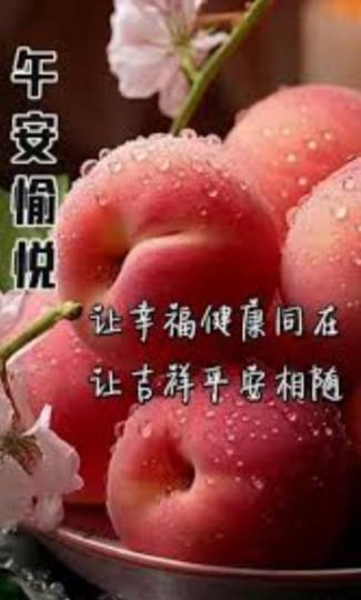 午安
                   愉快！...