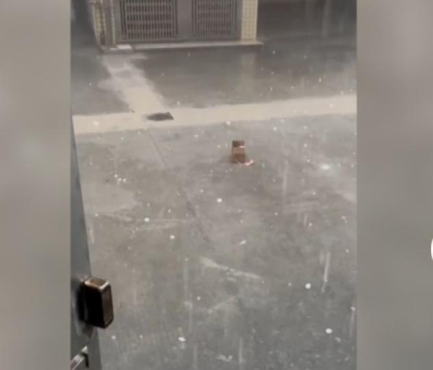 廣東多地遭遇暴雨　廣州局部地區暴雨伴有冰雹或龍捲風...