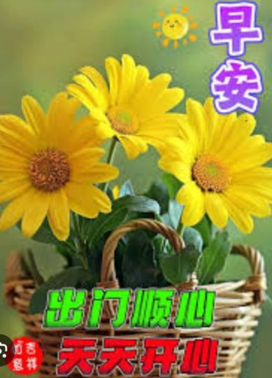 身體健康
                精神棒！...