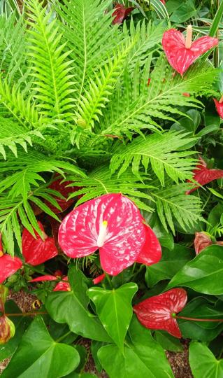 愉快
               安康！...