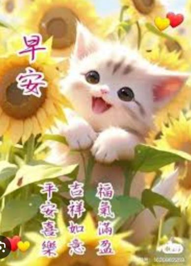 福氣
                 滿滿！...