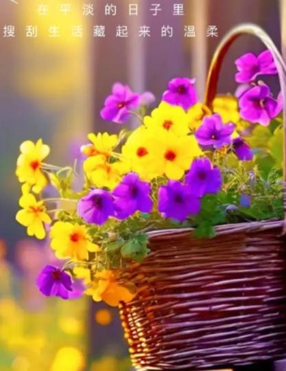 享受
                    生活！...