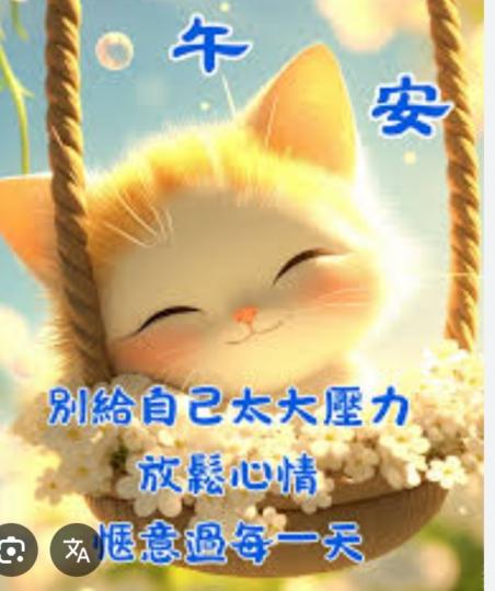 惬意又輕鬆
             中午好！...