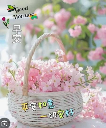 幸福
                  美好！...