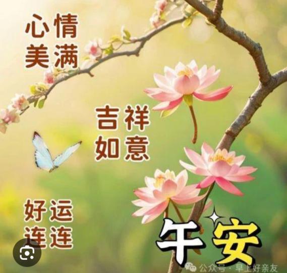 朋友
                 午安！...