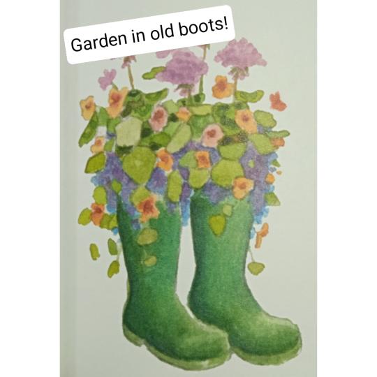 植物
               雨靴配！...