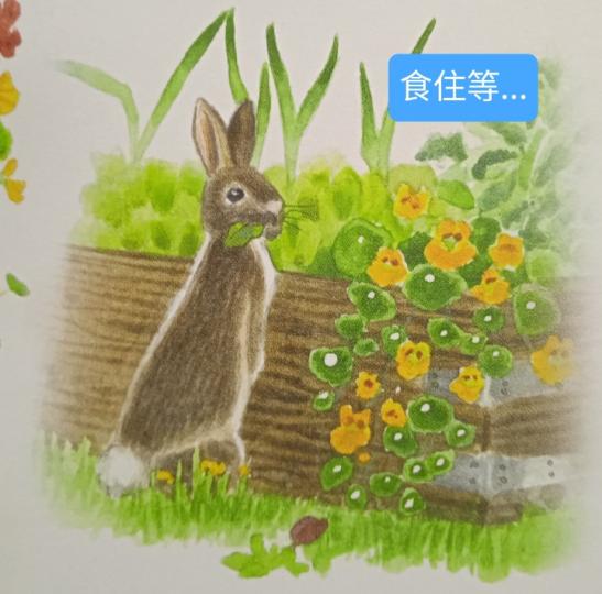 午餐時間
                   慢慢嘆！...